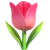 🌷.png__PID:749ea713-f11e-4490-aeda-73e3e883186f
